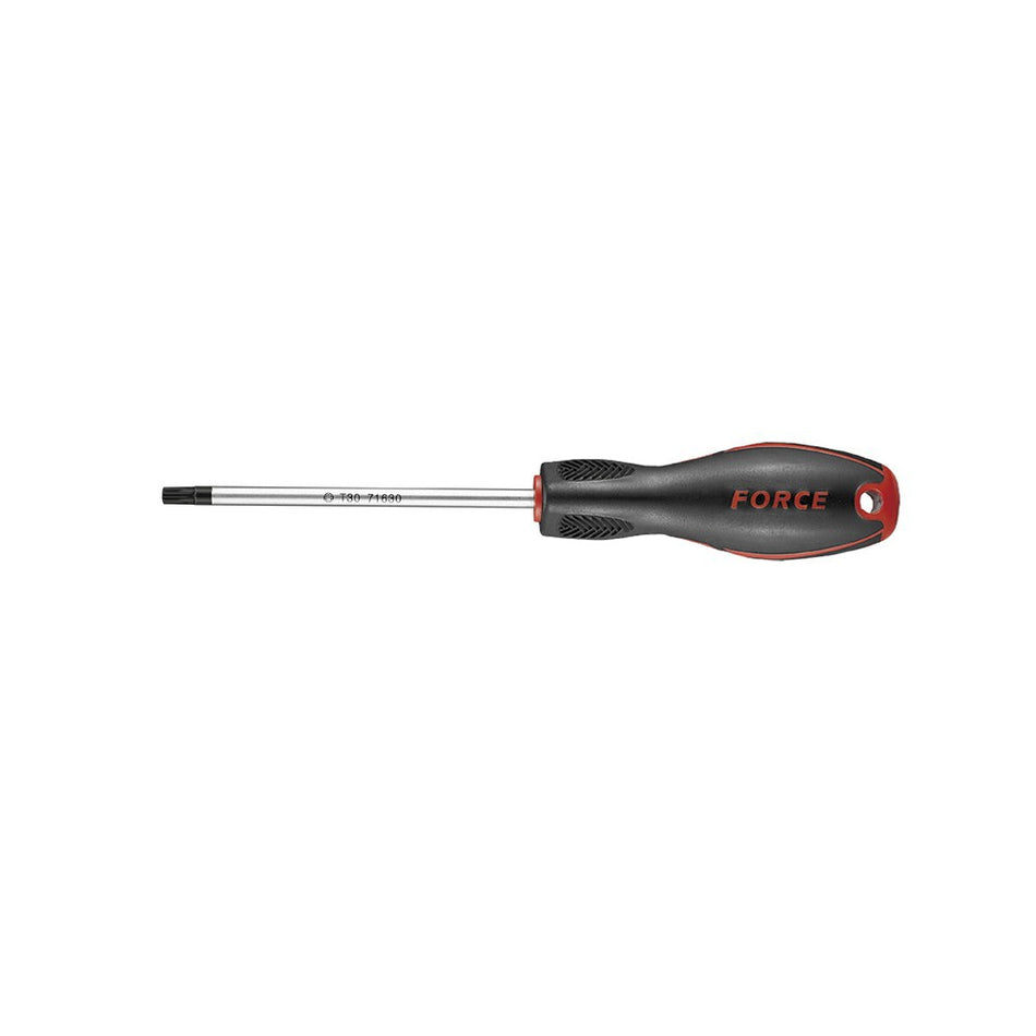 Star tamper screwdriver T-10H